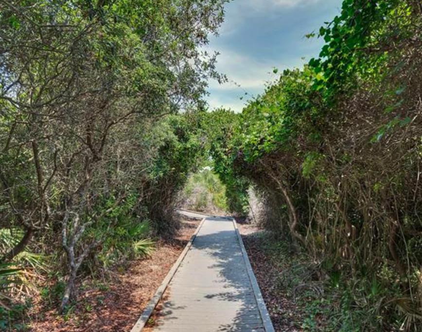 3605 East County Highway 30A, Unit 231 Santa Rosa Beach, FL 32459 - Photo 2 of 18