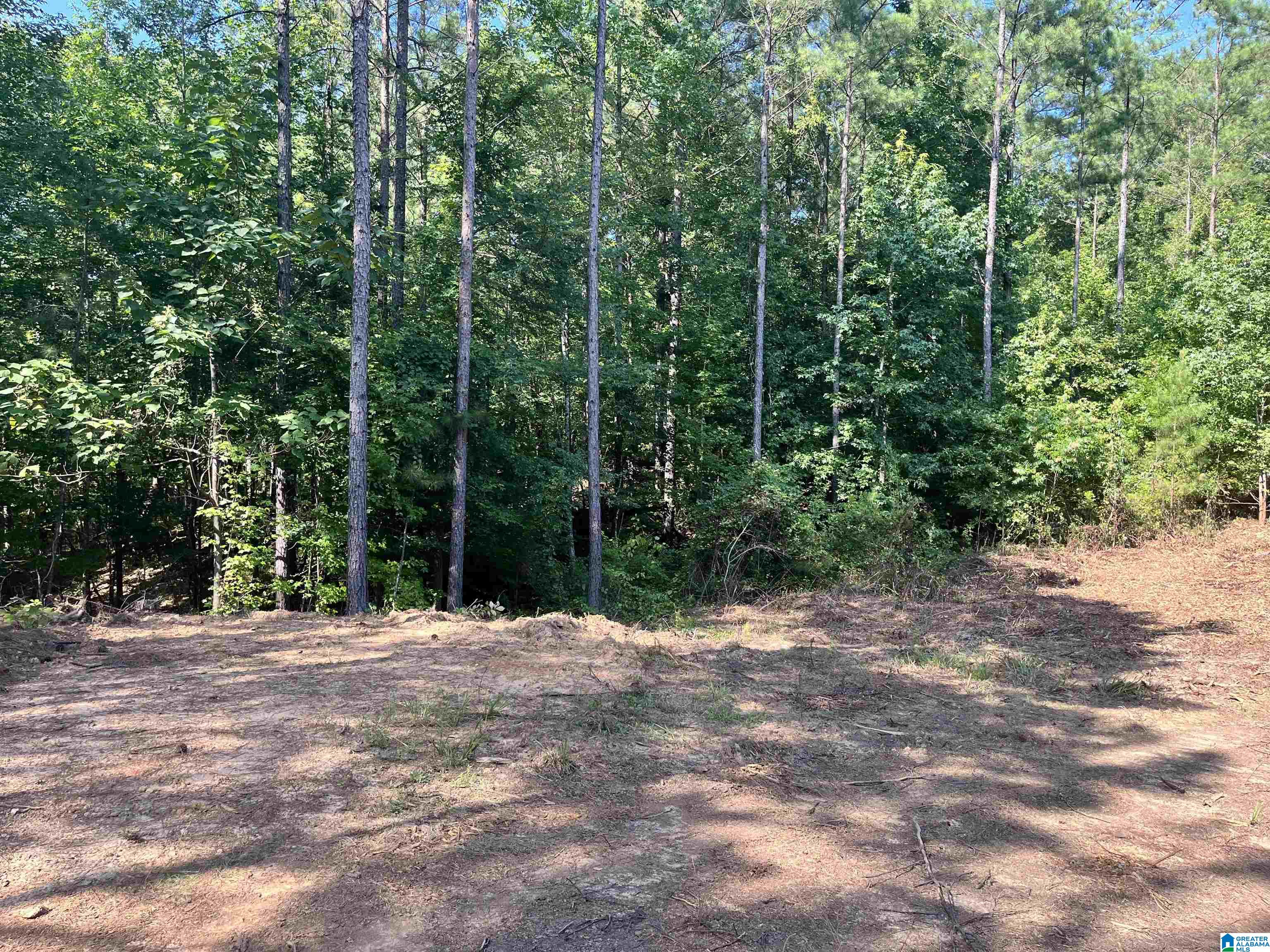 780 Sweet Apple Road, Unit TRACT 4 Pell City, AL 35128 - Photo 2 of 8