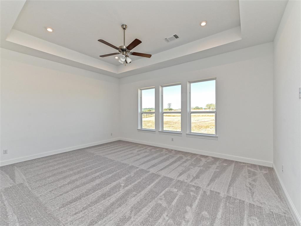 270 Prairie Clover Drive Dripping Springs, TX 78620 - Photo 17 of 28 Empty room with light carpet, a ceiling fan, recessed lighting, and a raised ceiling