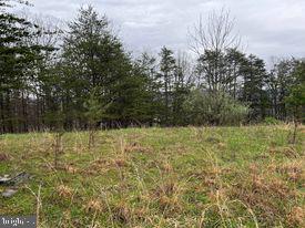 20-ac Parcel F 20-ac Parcel F Ridersville Road Berkeley Springs, WV 25411 - Photo 14 of 41