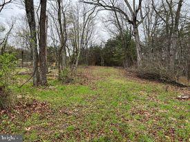 20-ac Parcel F 20-ac Parcel F Ridersville Road Berkeley Springs, WV 25411 - Photo 15 of 41