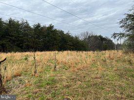 20-ac Parcel F 20-ac Parcel F Ridersville Road Berkeley Springs, WV 25411 - Photo 20 of 41