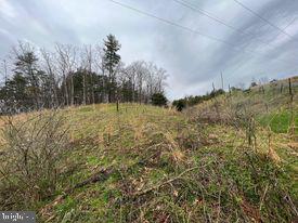 20-ac Parcel F 20-ac Parcel F Ridersville Road Berkeley Springs, WV 25411 - Photo 2 of 41