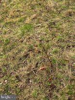 20-ac Parcel F 20-ac Parcel F Ridersville Road Berkeley Springs, WV 25411 - Photo 21 of 41