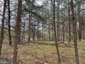 20-ac Parcel F 20-ac Parcel F Ridersville Road Berkeley Springs, WV 25411 - Photo 22 of 41