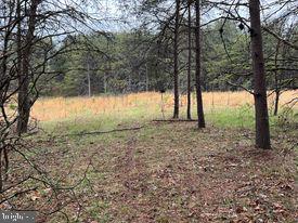 20-ac Parcel F 20-ac Parcel F Ridersville Road Berkeley Springs, WV 25411 - Photo 23 of 41