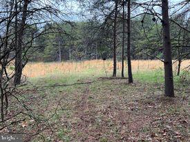 20-ac Parcel F 20-ac Parcel F Ridersville Road Berkeley Springs, WV 25411 - Photo 24 of 41