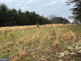 20-ac Parcel F 20-ac Parcel F Ridersville Road Berkeley Springs, WV 25411 - Photo 25 of 41