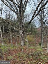 20-ac Parcel F 20-ac Parcel F Ridersville Road Berkeley Springs, WV 25411 - Photo 26 of 41