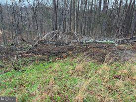 20-ac Parcel F 20-ac Parcel F Ridersville Road Berkeley Springs, WV 25411 - Photo 27 of 41