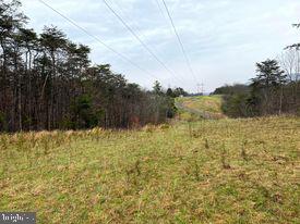 20-ac Parcel F 20-ac Parcel F Ridersville Road Berkeley Springs, WV 25411 - Photo 28 of 41