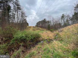 20-ac Parcel F 20-ac Parcel F Ridersville Road Berkeley Springs, WV 25411 - Photo 3 of 41