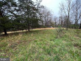 20-ac Parcel F 20-ac Parcel F Ridersville Road Berkeley Springs, WV 25411 - Photo 37 of 41