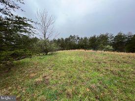 20-ac Parcel F 20-ac Parcel F Ridersville Road Berkeley Springs, WV 25411 - Photo 38 of 41