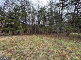 20-ac Parcel F 20-ac Parcel F Ridersville Road Berkeley Springs, WV 25411 - Photo 39 of 41