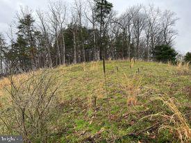 20-ac Parcel F 20-ac Parcel F Ridersville Road Berkeley Springs, WV 25411 - Photo 4 of 41