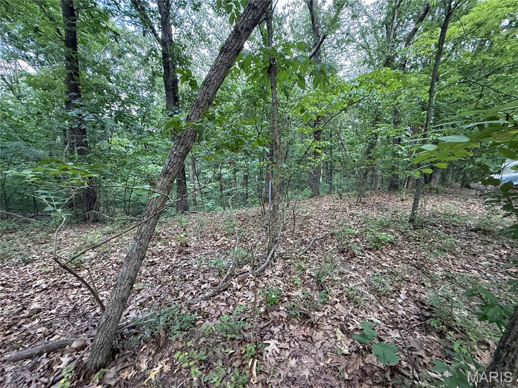 1133 Union School Road Ava, IL 62907 - Photo 34 of 46