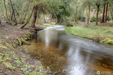 a view of outdoor space with trees