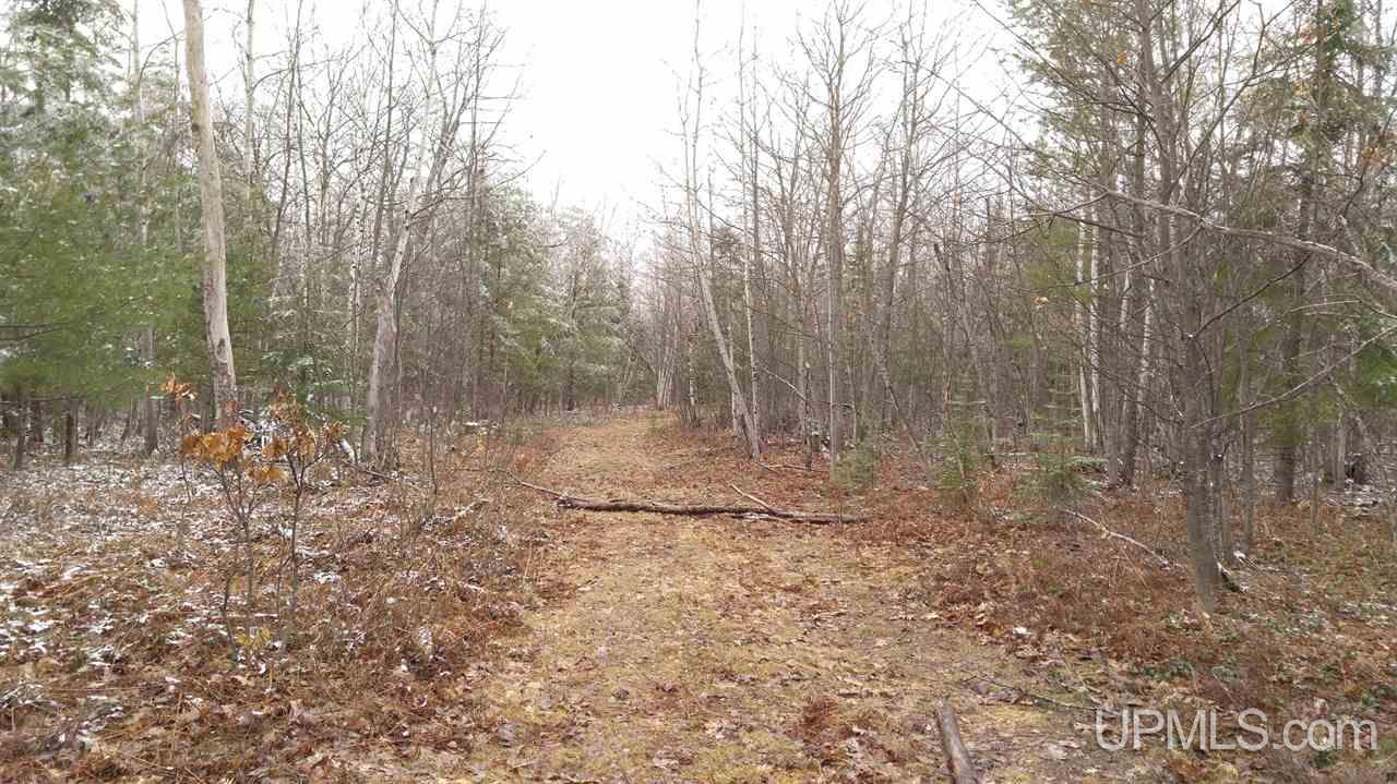 73-acres Co Rd 480 Marquette, MI 49855 - Photo 12 of 18