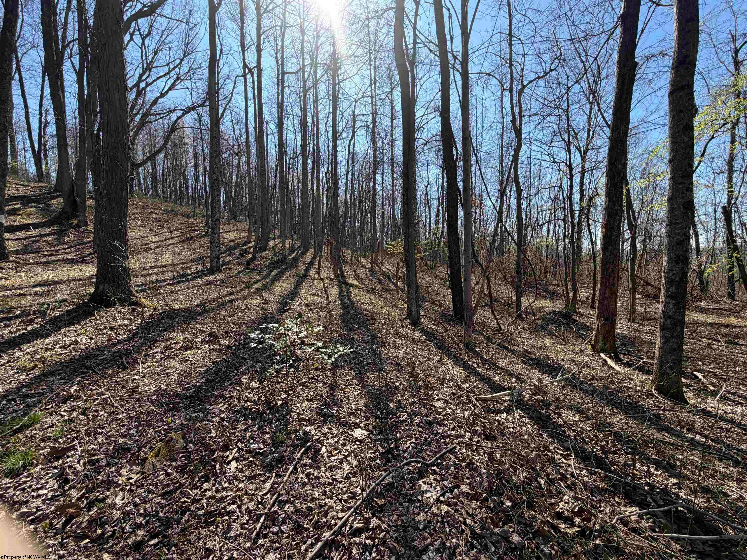 Tbd Old Elkins Road Buckhannon, WV 26201 - Photo 7 of 8 Gallery Image 7