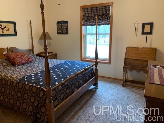 111 Panick Road Iron River, MI 49935 - Photo 24 of 49