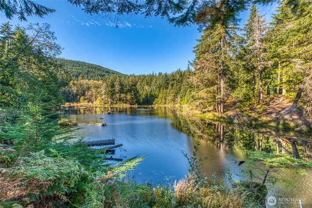 a view of a lake with a mountain