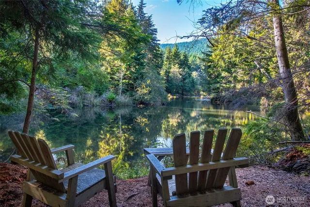 a view of a forest that has large trees