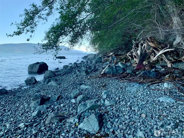a vase of flowers sitting on a table