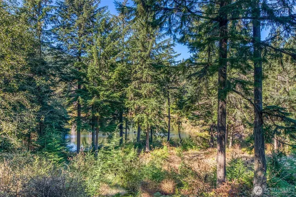a view of a yard with trees