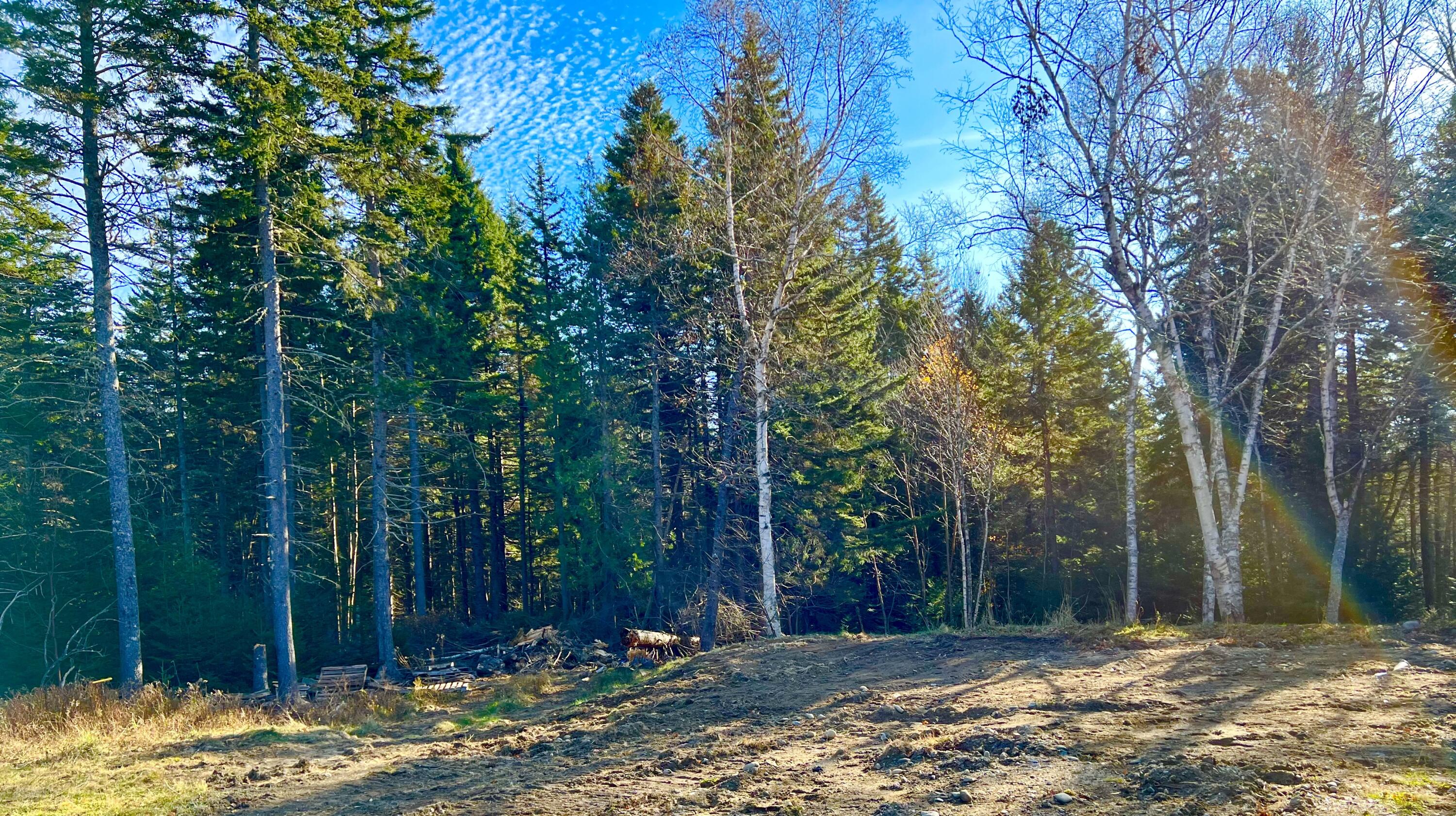 56 Dodge Point Road Tremont, ME 04612 - Photo 19 of 26 Land