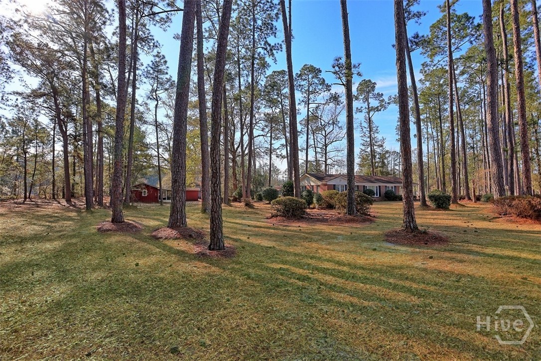 820 Ebenezer Road Rincon, GA 31326 - Photo 4 of 74