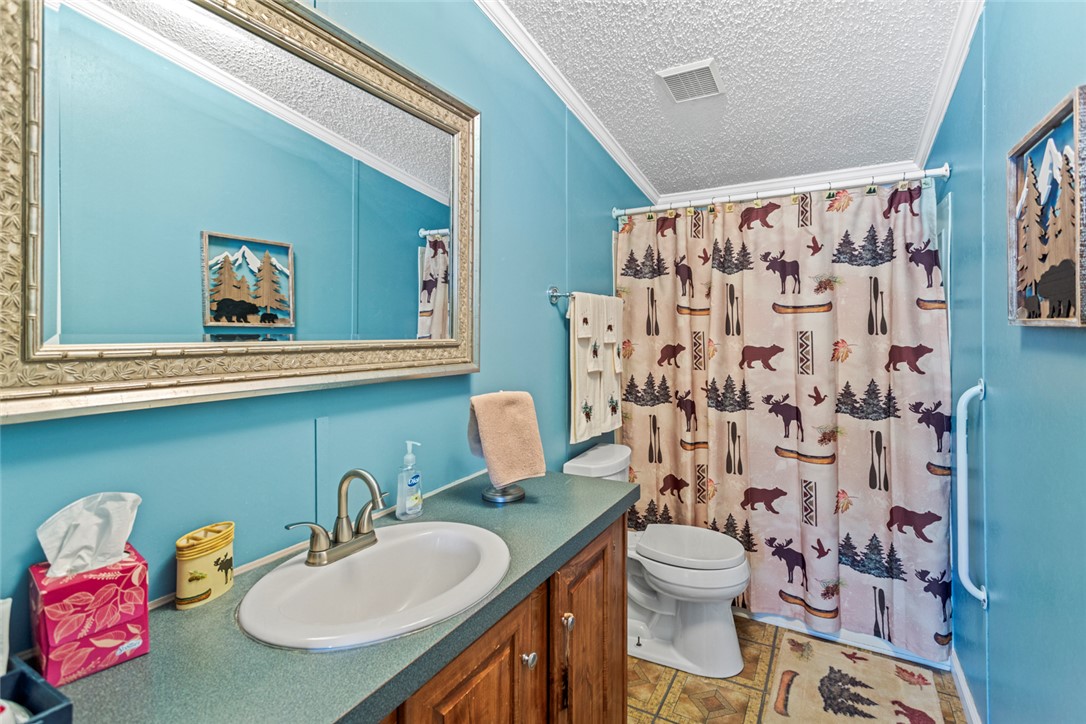 155 Whitman Hollow Road Walhalla, SC 29691 - Photo 31 of 48 Full bath