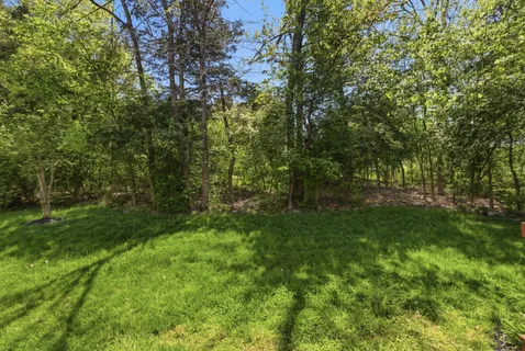 a view of outdoor space and yard
