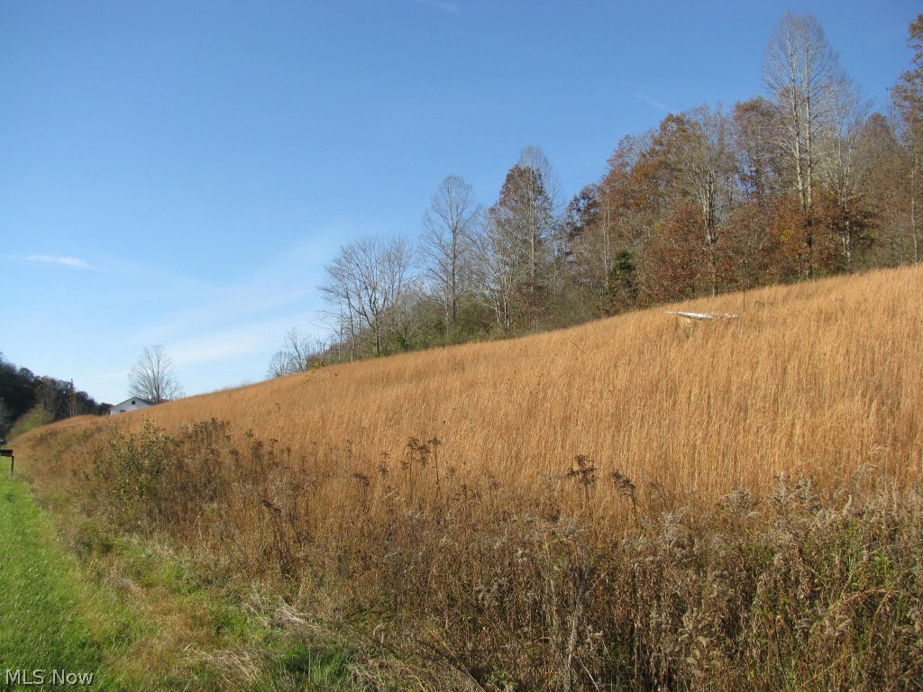975 Hazelgreen Road Auburn, WV 26325 - Photo 12 of 20 Gallery Image 12