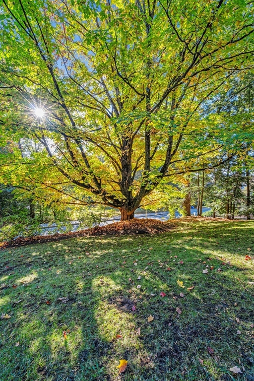 30 Burlington Street Lexington, MA 02420 - Photo 33 of 34 a view of a field with an trees