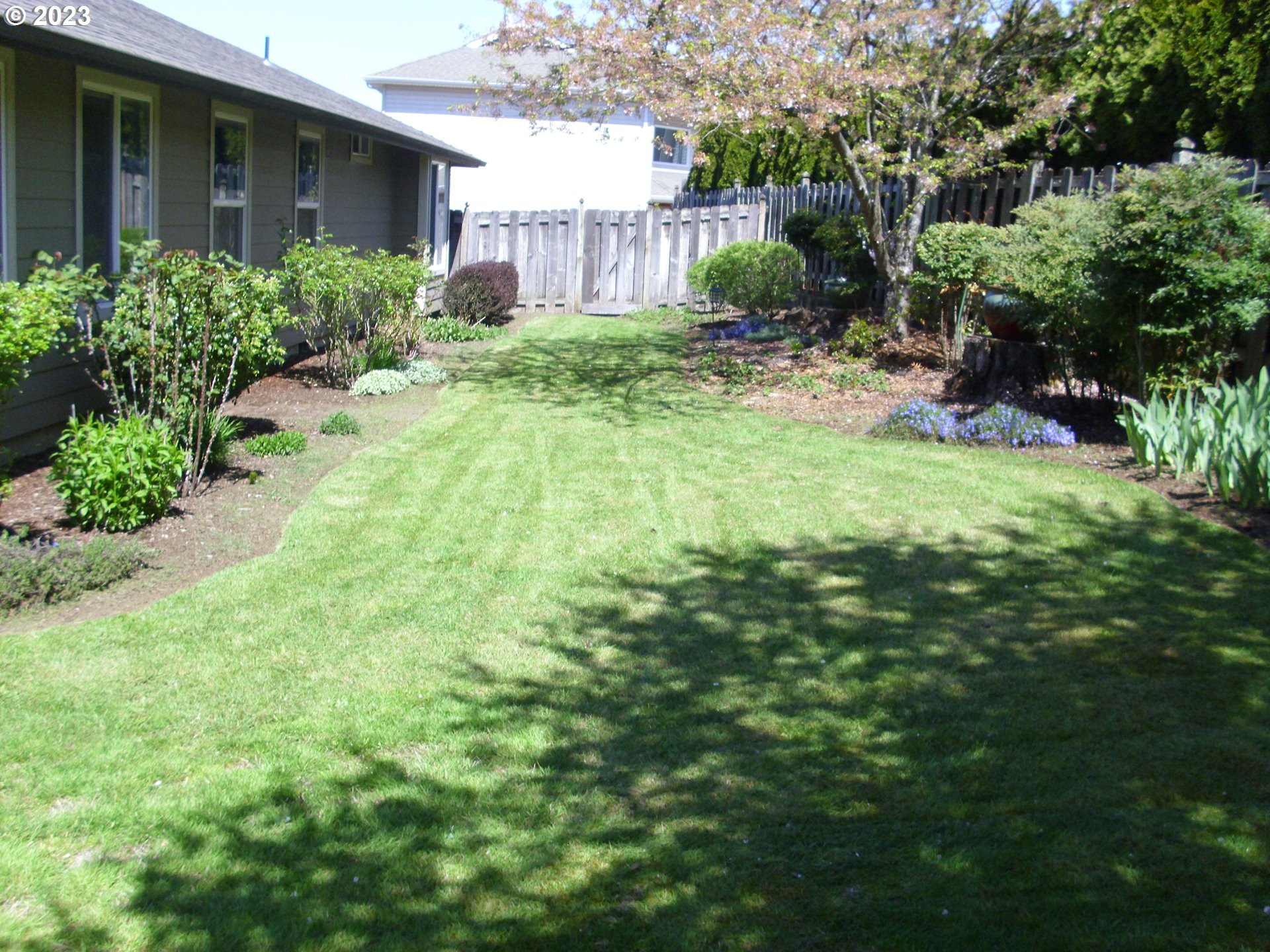 2465 South Bertelsen Road Eugene, OR 97405 - Photo 21 of 26 a backyard of a house with plants and large tree