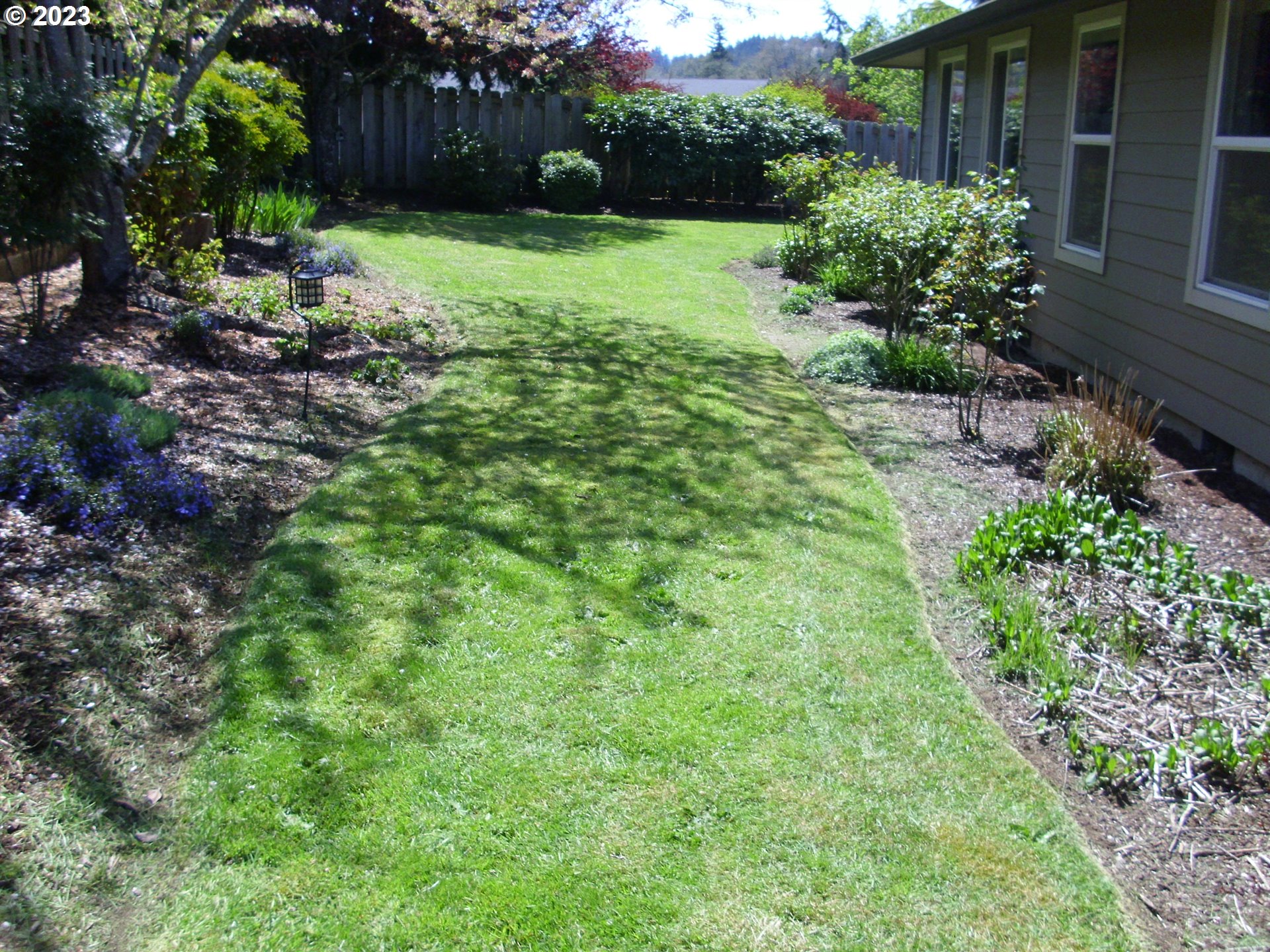 2465 South Bertelsen Road Eugene, OR 97405 - Photo 23 of 26 a view of a yard with plants and large trees
