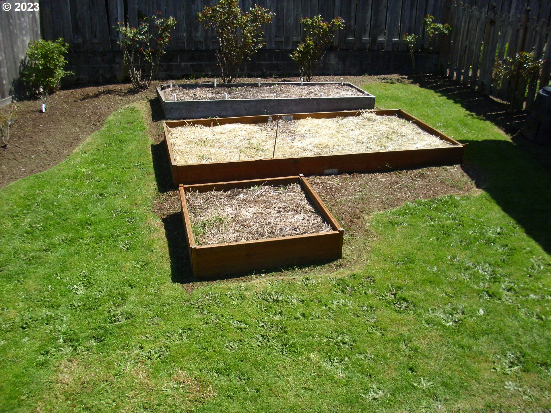 2465 South Bertelsen Road Eugene, OR 97405 - Photo 25 of 26 a view of swimming pool with a yard and potted plants