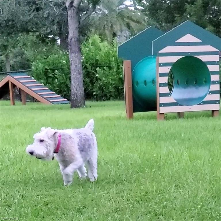 14571 Topsail Drive Naples, FL 34114 - Photo 39 of 41 Dog Park