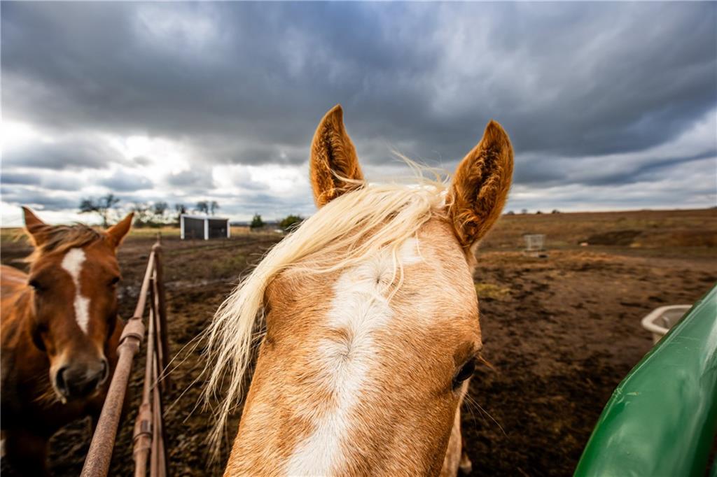 714 Indiana Road Williamsburg, KS 66095 - Photo 69 of 86