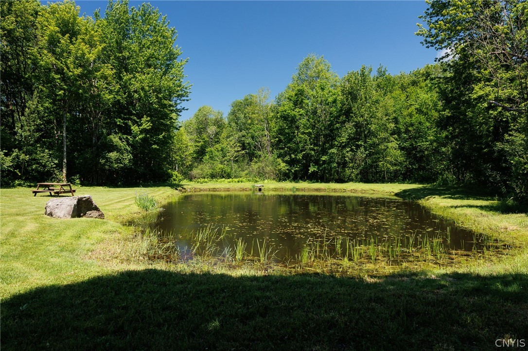 882 County Rte 13 Boylston, NY 13083 - Photo 39 of 49