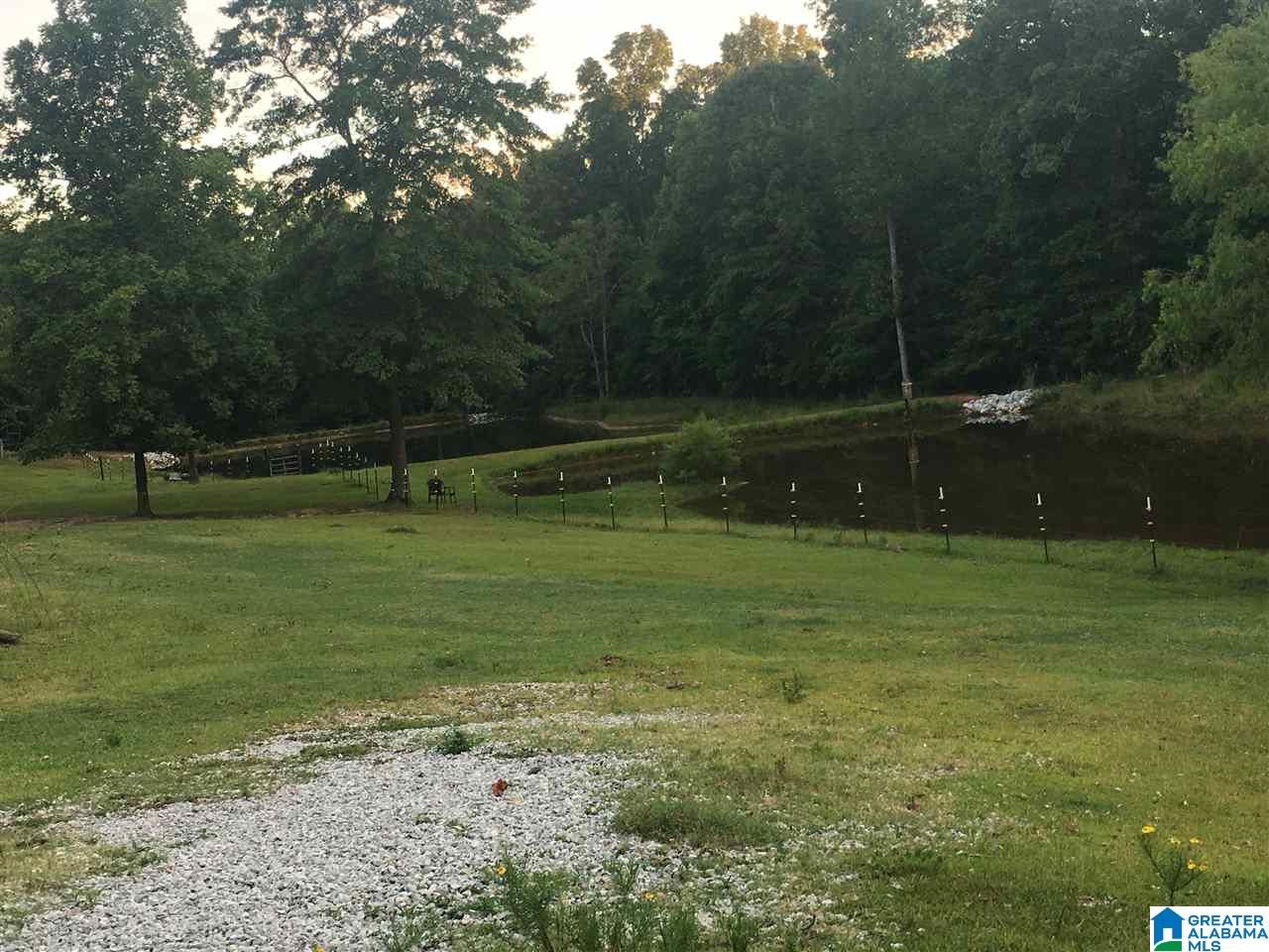 1965 County Road 38 Jemison, AL 35085 - Photo 3 of 5