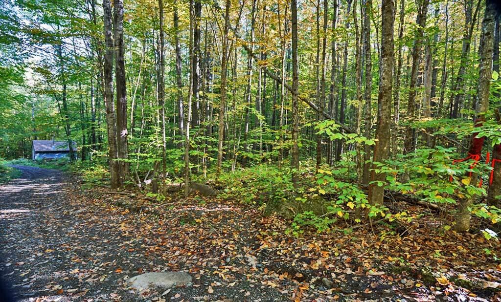 L 31-bates L 31-bates Ridge Road Houlton, ME 04730 - Photo 11 of 59 bates-ridge-linneus-me-8