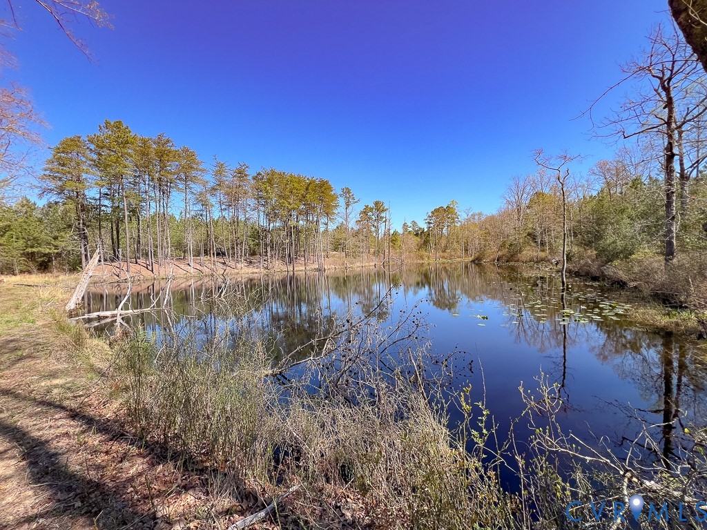 18262 Seals Road Bowling Green, VA 22427 - Photo 13 of 50 a view of a lake with a building in the background