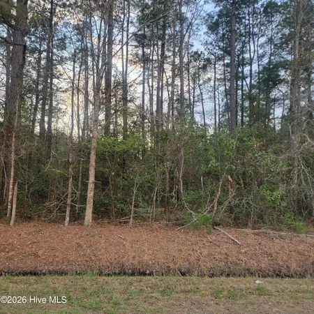 $40,000 | 8 Fennell Town Road, Rocky Point, NC 28457