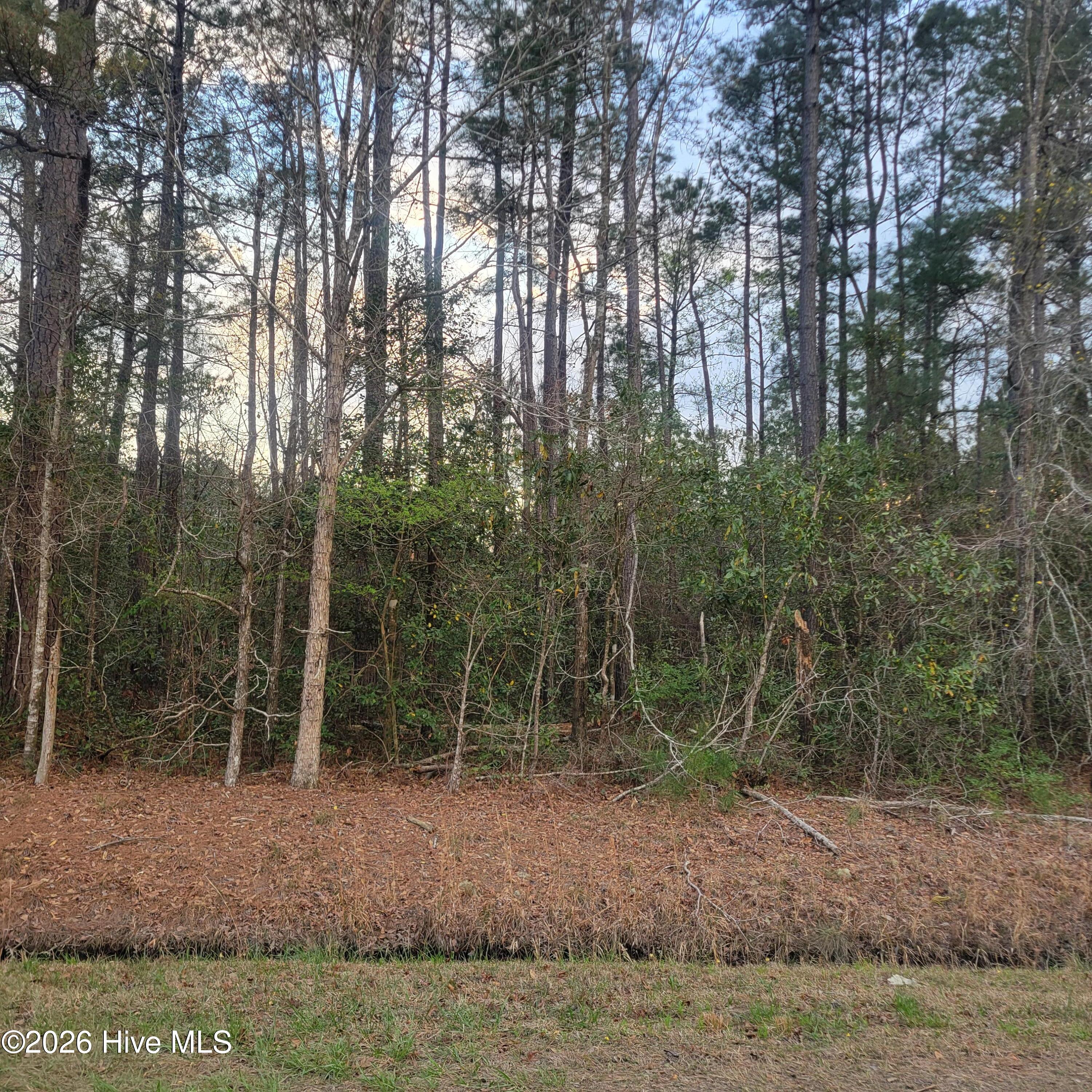 8 Fennell Town Road Rocky Point, NC 28457 - Photo 1 of 2 1000030441