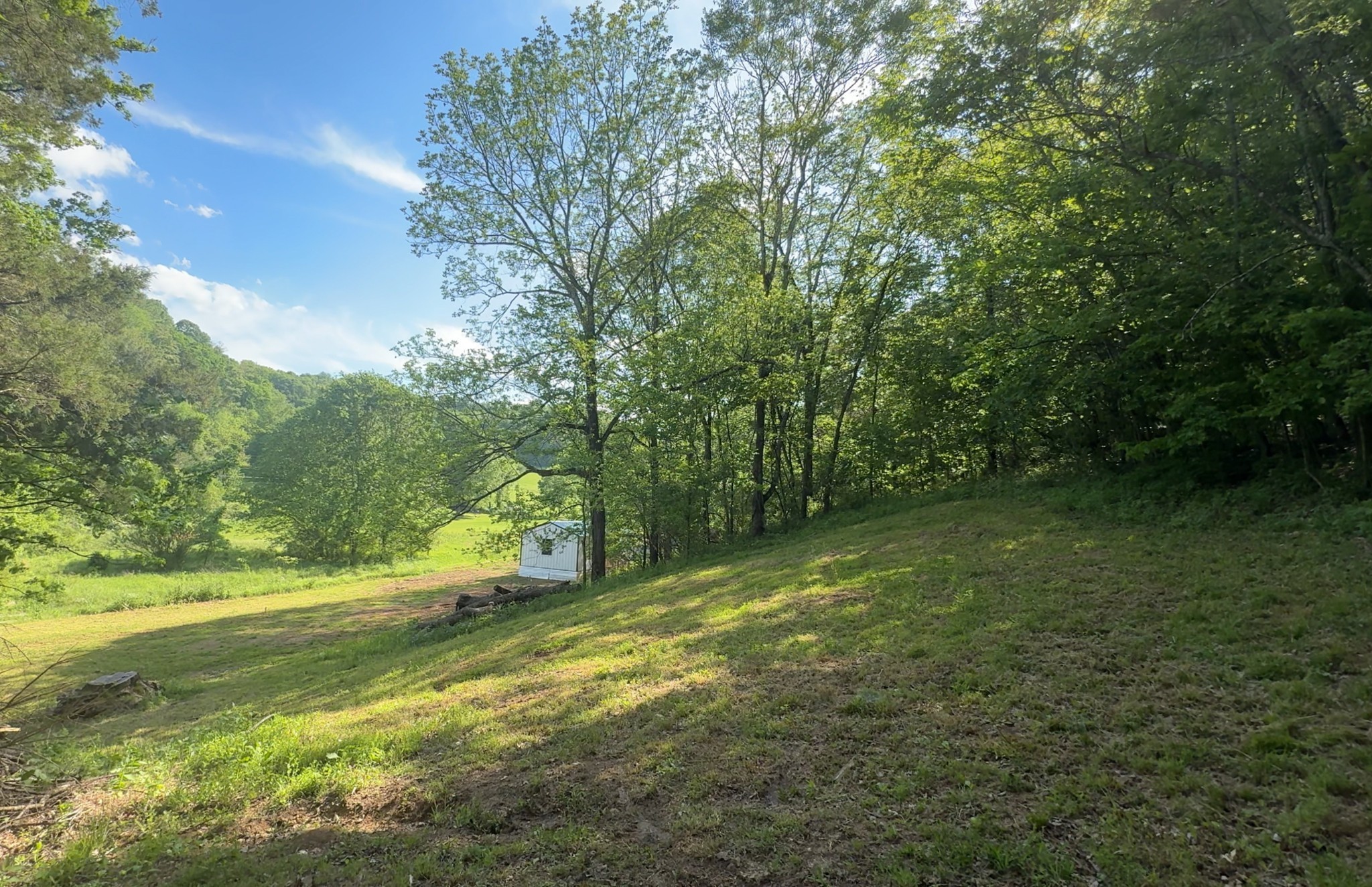 140 Ben Johnson Road Pulaski, TN 38478 - Photo 44 of 44 a view of outdoor space with trees all around
