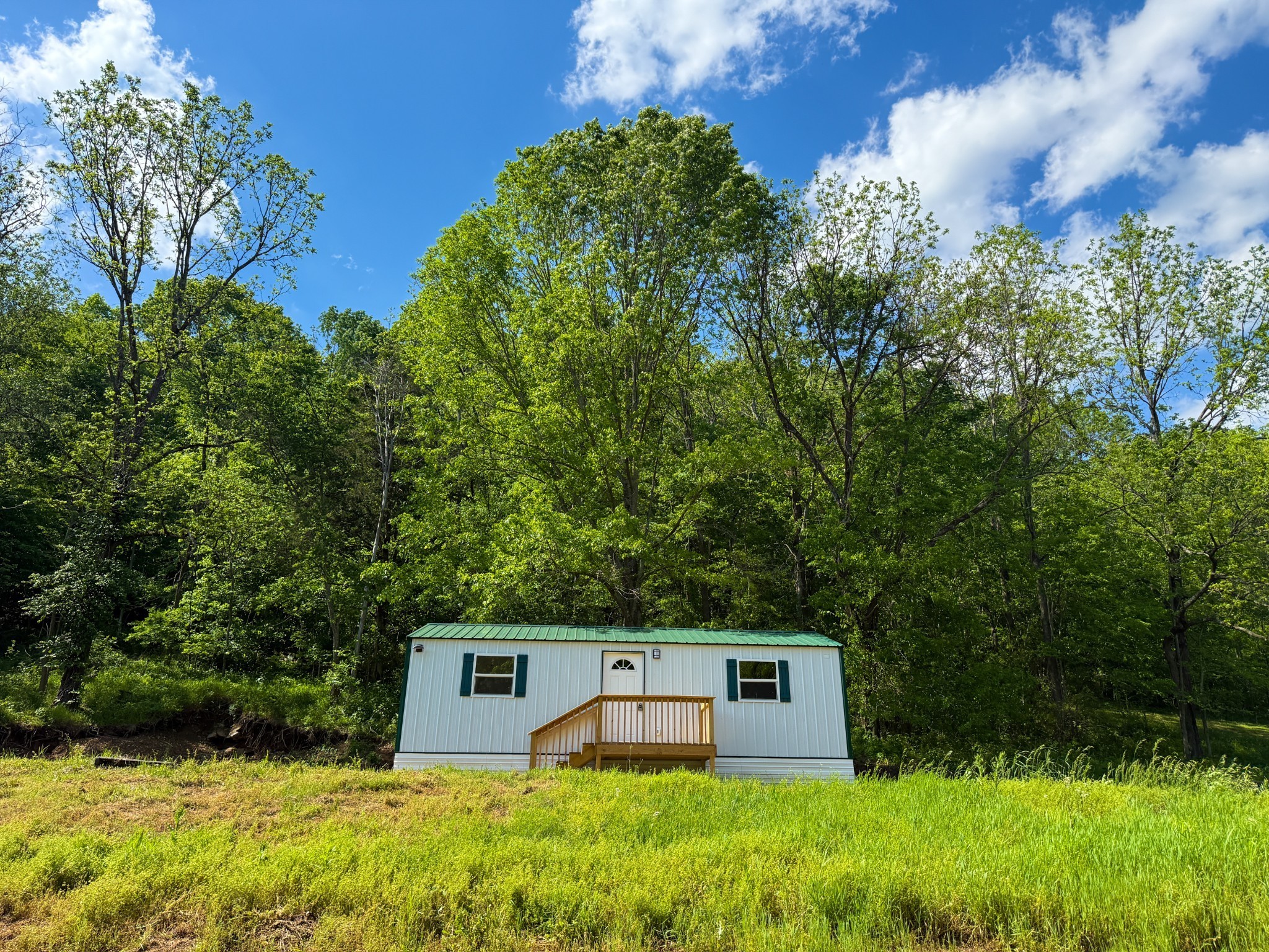 140 Ben Johnson Road Pulaski, TN 38478 - Photo 8 of 44 a view of a house with a yard and a large tree