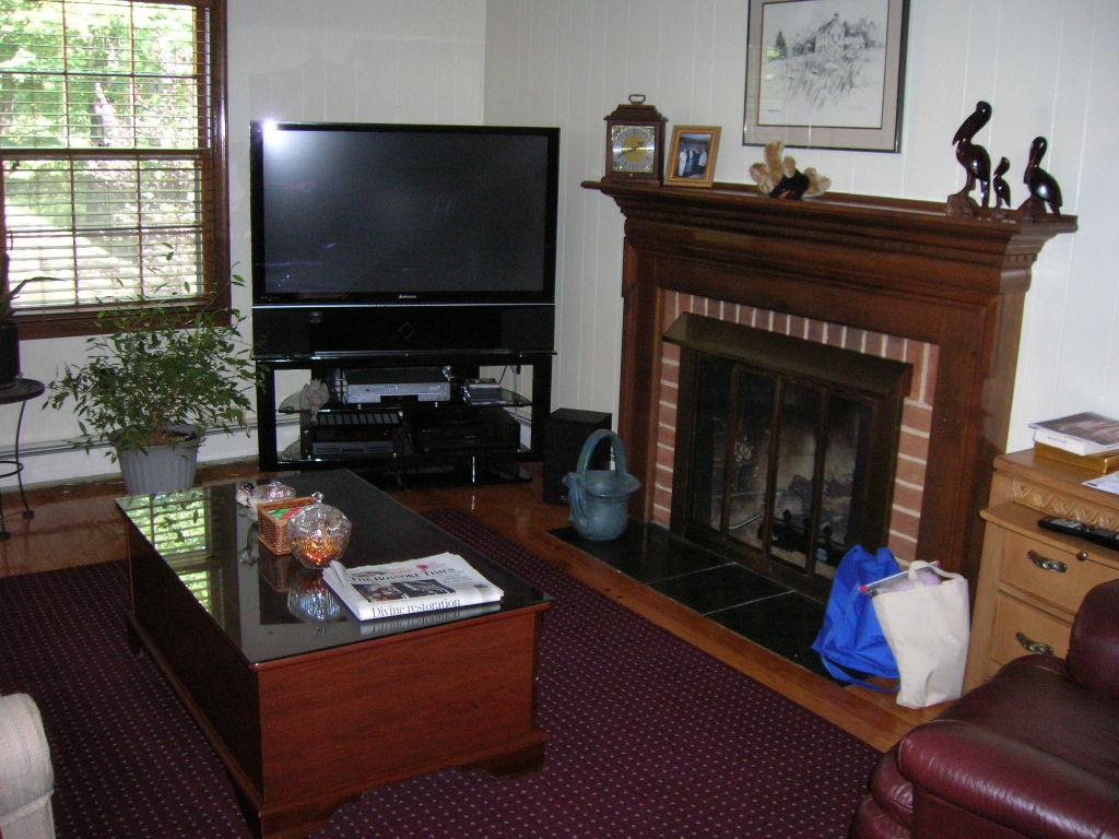 5119 Falcon Ridge Road Roanoke, VA 24018 - Photo 3 of 12 a living room with furniture and a fireplace