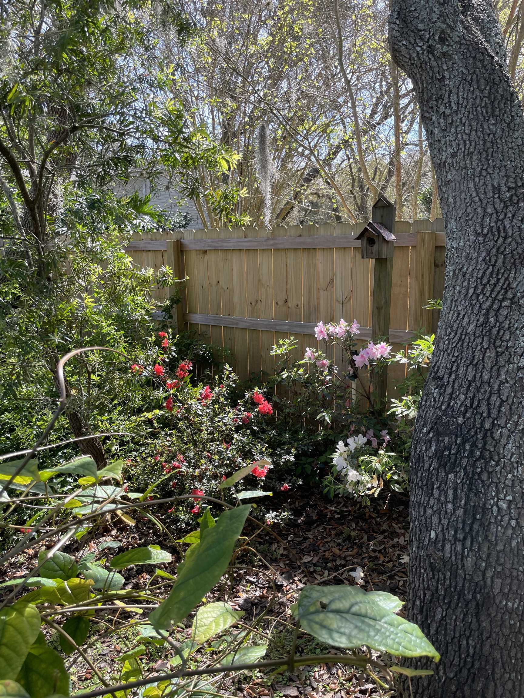 222 Bonita Road St. Augustine, FL 32086 - Photo 37 of 46 Gallery Image 37